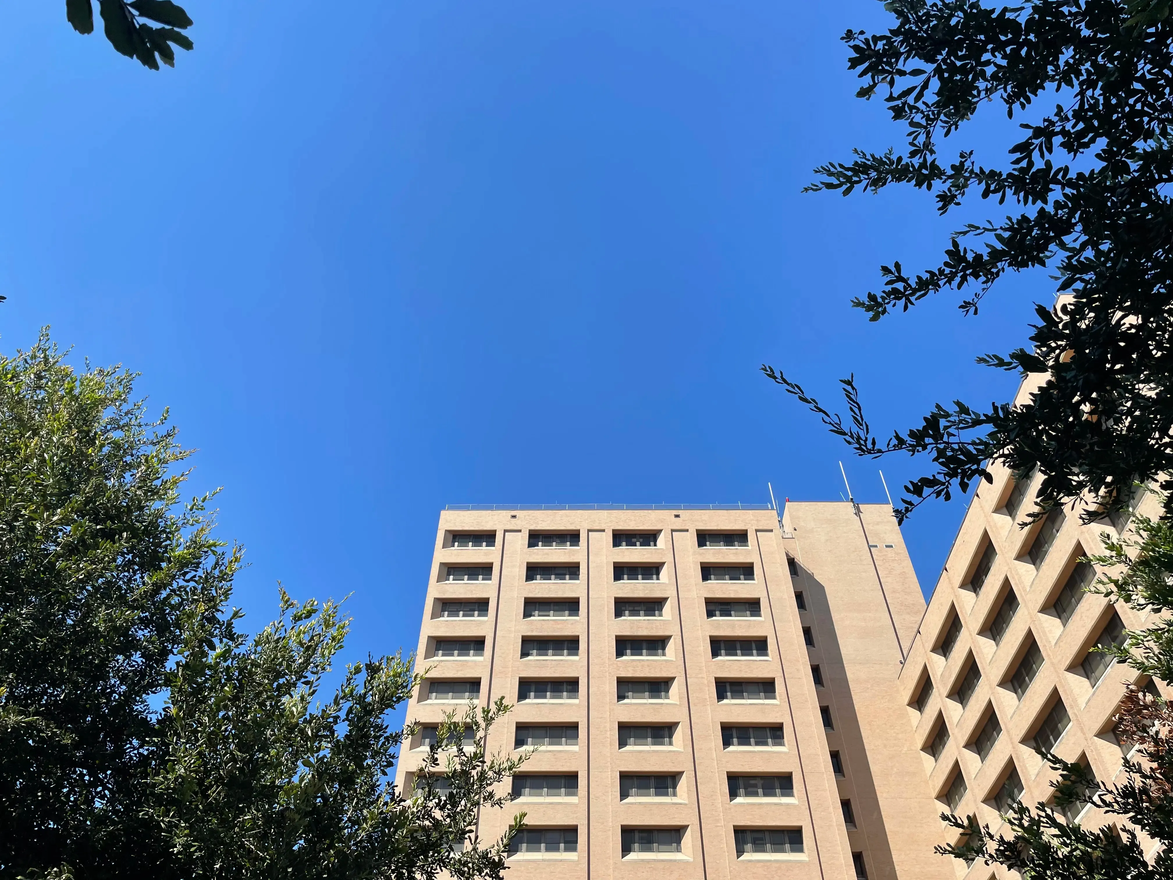 Blue sky with the UT PMA in the bottom of the frame.