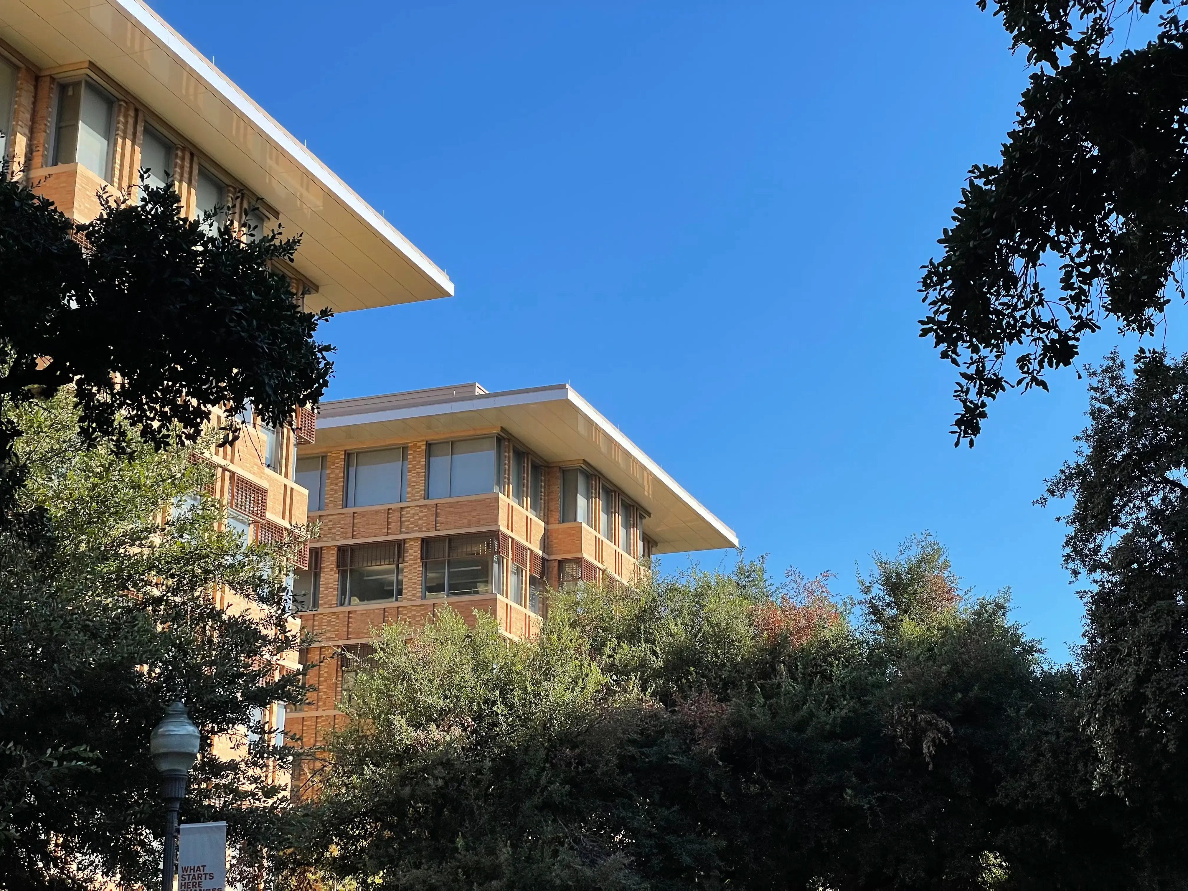 Blue sky framed by trees with the UT GDC in the bottom of the frame.